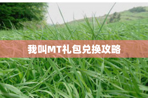 我叫MT礼包兑换攻略图片