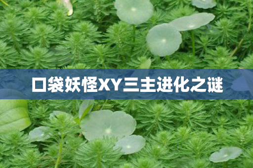 口袋妖怪XY三主进化之谜图片