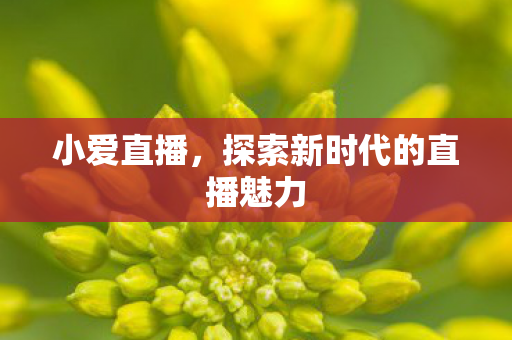 探索新时代的直播魅力图片