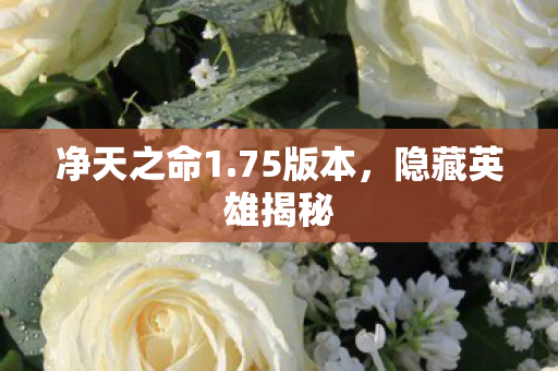 隐藏英雄揭秘图片
