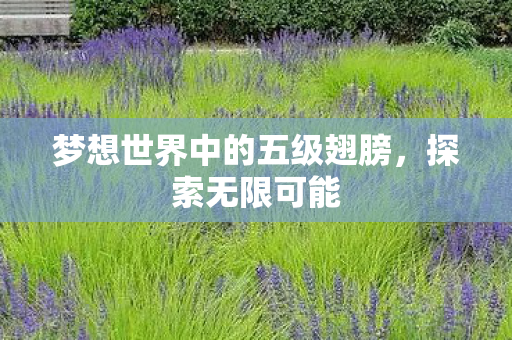 梦想世界中的五级翅膀图片