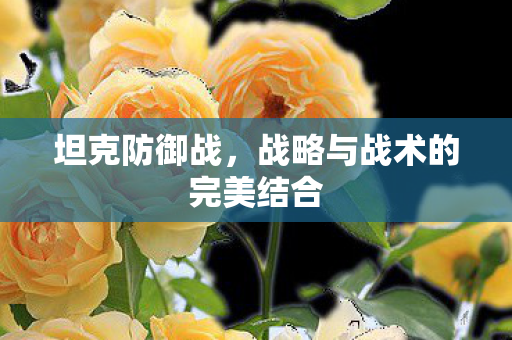 战略与战术的完美结合图片