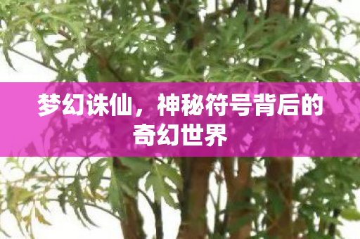 神秘符号背后的奇幻世界图片