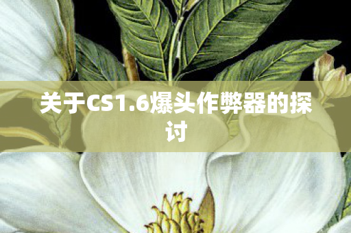 6爆头作弊器的探讨图片