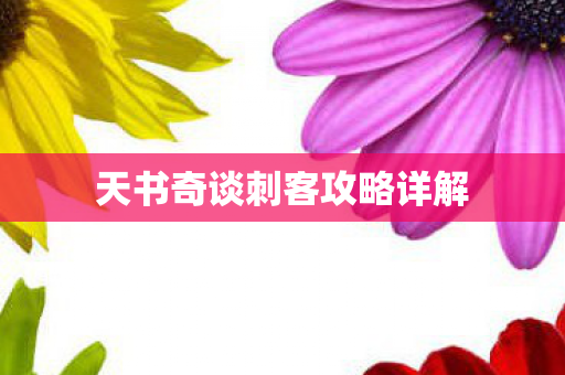 天书奇谈刺客攻略详解图片