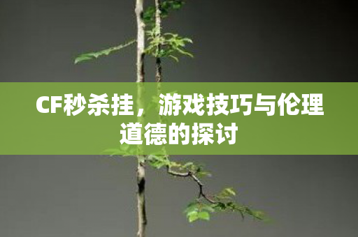 游戏技巧与伦理道德的探讨图片