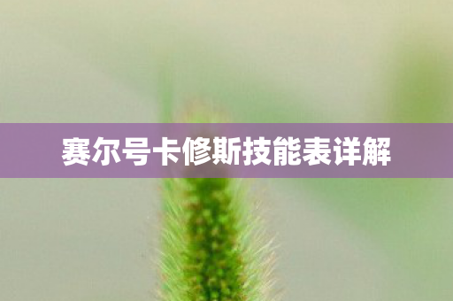 赛尔号卡修斯技能表详解图片