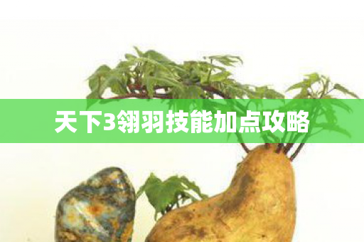 天下3翎羽技能加点攻略图片