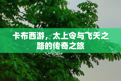 太上令与飞天之路的传奇之旅图片