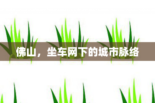 坐车网下的城市脉络图片