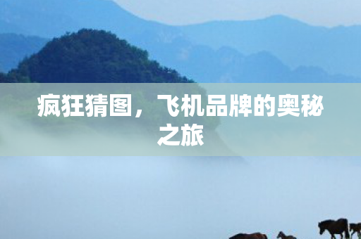 飞机品牌的奥秘之旅图片
