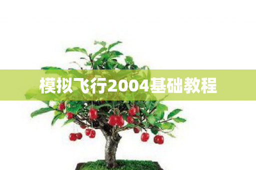 模拟飞行2004基础教程图片