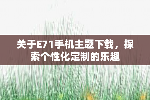 关于E71手机主题下载图片