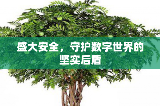 守护数字世界的坚实后盾图片