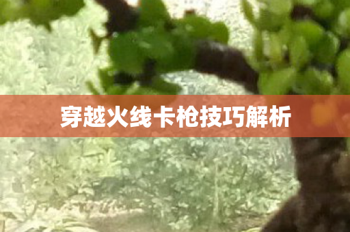穿越火线卡枪技巧解析图片