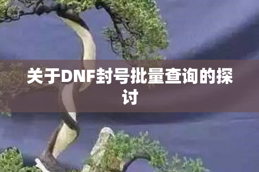 关于DNF封号批量查询的探讨图片