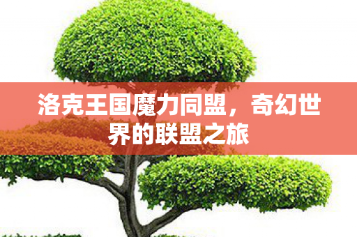 奇幻世界的联盟之旅图片