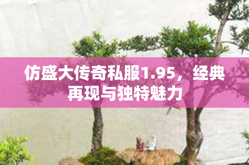 经典再现与独特魅力图片