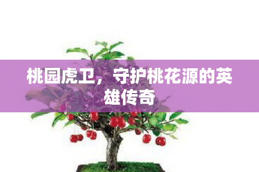 守护桃花源的英雄传奇图片