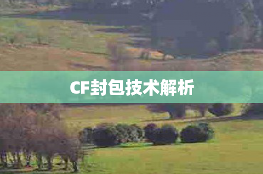 CF封包技术解析图片
