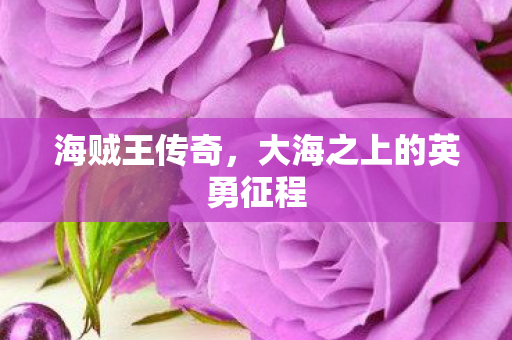 大海之上的英勇征程图片