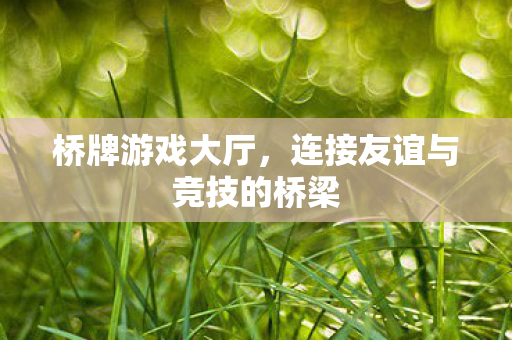 连接友谊与竞技的桥梁图片