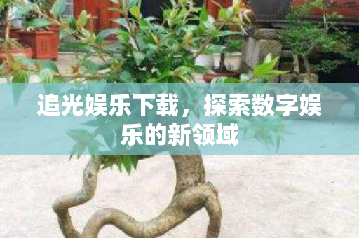 探索数字娱乐的新领域图片