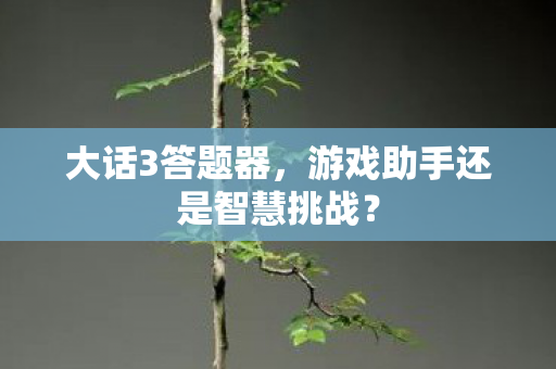 游戏助手还是智慧挑战图片