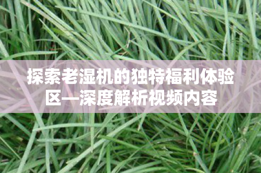 探索老湿机的独特福利体验区图片