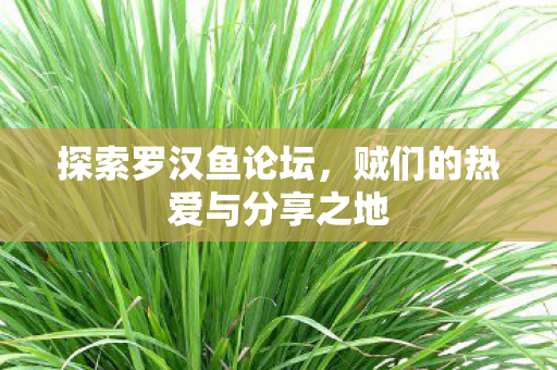 贼们的热爱与分享之地图片