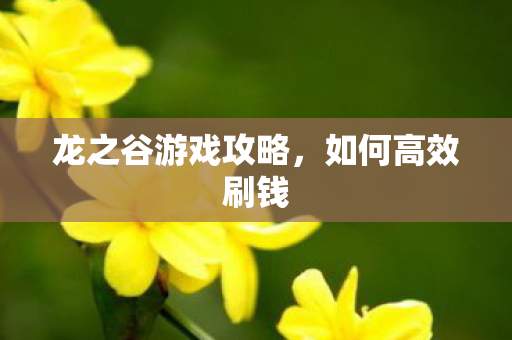 龙之谷游戏攻略图片