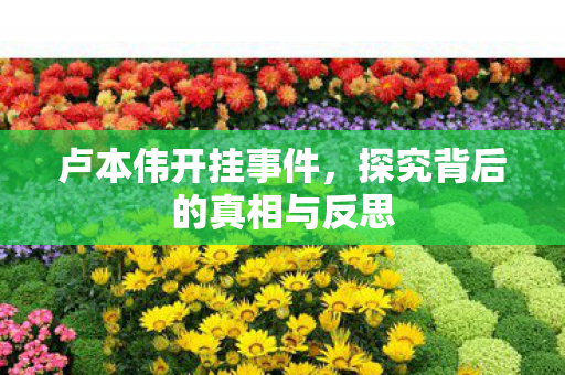 探究背后的真相与反思图片