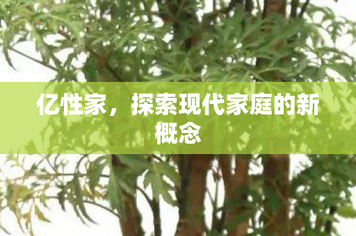 探索现代家庭的新概念图片