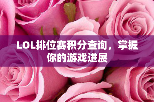 LOL排位赛积分查询图片