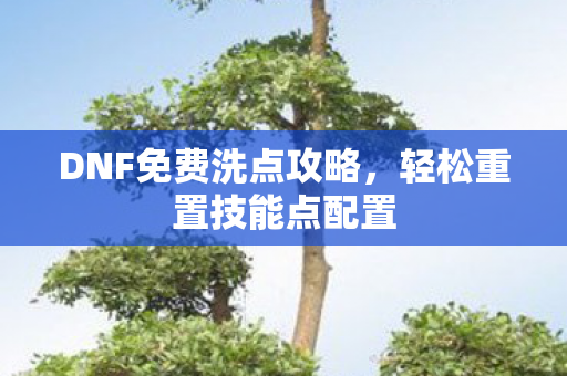 DNF免费洗点攻略图片
