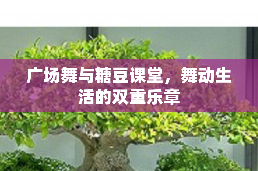 舞动生活的双重乐章图片