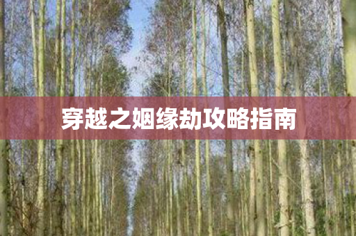 穿越之姻缘劫攻略指南图片