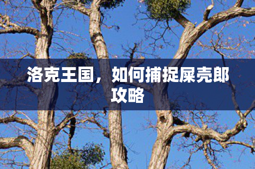 如何捕捉屎壳郎攻略图片