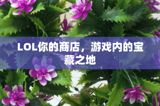 游戏内的宝藏之地图片