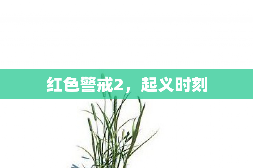 红色警戒2图片