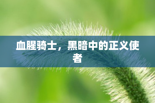 黑暗中的正义使者图片