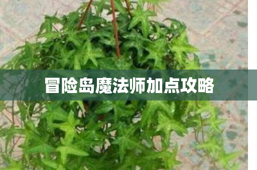 冒险岛魔法师加点攻略图片