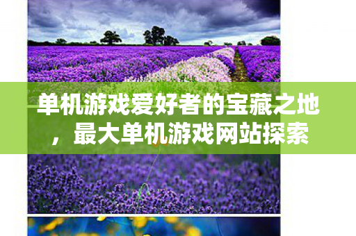 单机游戏爱好者的宝藏之地图片