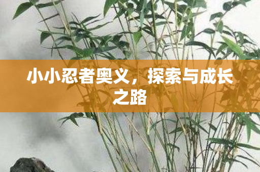 探索与成长之路图片