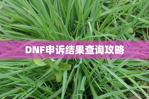 DNF申诉结果查询攻略图片