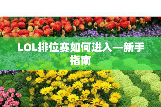LOL排位赛如何进入图片