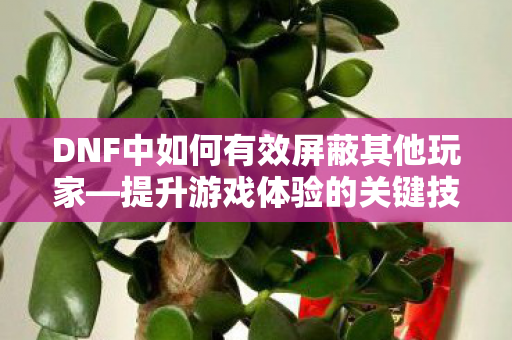 DNF中如何有效屏蔽其他玩家图片