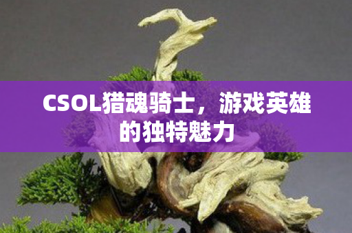 游戏英雄的独特魅力图片