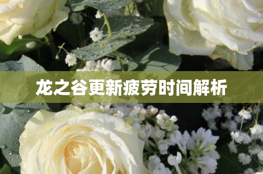 龙之谷更新疲劳时间解析图片