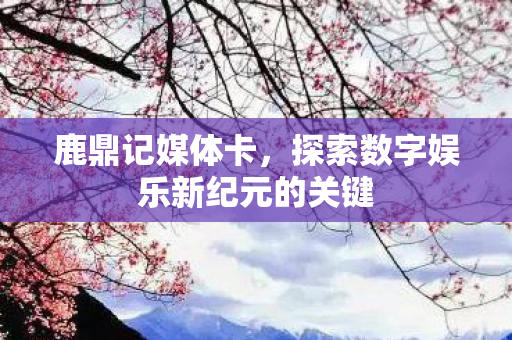 探索数字娱乐新纪元的关键图片